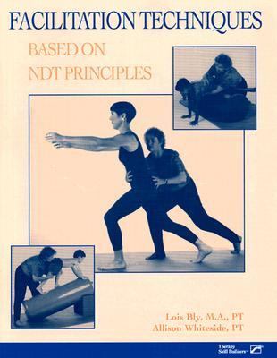 Facilitation Techniques Based on NDT Principles 1st 9780761644002 Front Cover