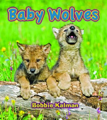 Baby Wolves   2011 9780778749004 Front Cover