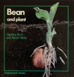 Bean and Plant N/A 9780382093005 Front Cover