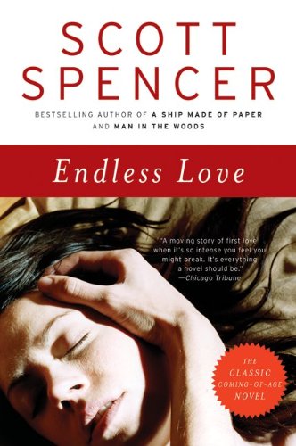 Endless Love A Novel N/A 9780061926006 Front Cover
