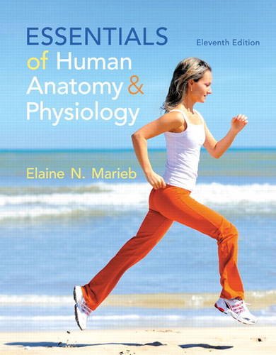 Essentials of Human Anatomy and Physiology  11th 2015 9780321919007 Front Cover