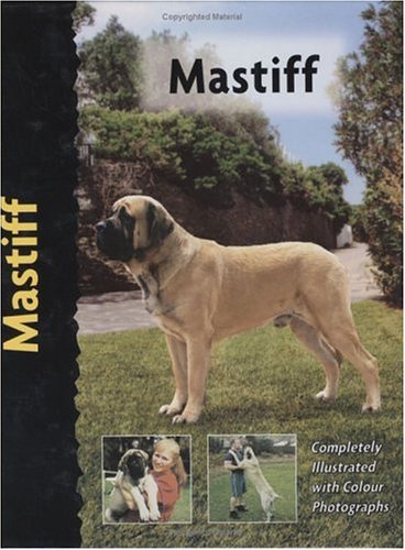 Mastiff:   2002 9781842860007 Front Cover