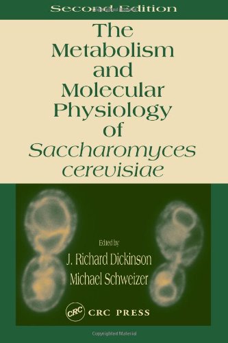Metabolism and Molecular Physiology of Saccharomyces Cerevisiae  2nd 2004 (Revised) 9780415299008 Front Cover