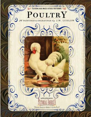 Poultry 26 Paintings and Engravings by J. W. Ludlow N/A 9781608898008 Front Cover