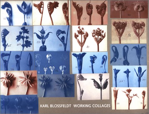 Karl Blossfeldt Working Collages  2001 9780262025010 Front Cover