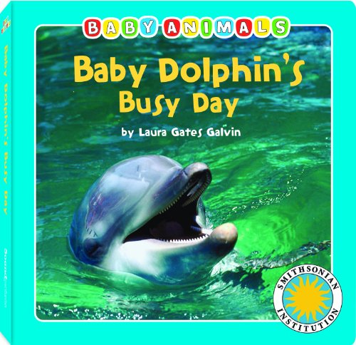 Baby Dolphin's Busy Day:  2011 9781607273011 Front Cover