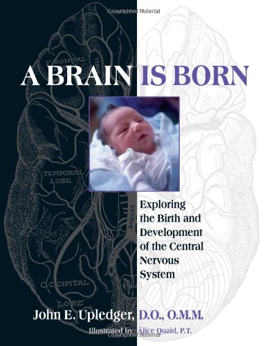Brain Is Born Exploring the Birth and Development of the Central Nervous System N/A 9781583943014 Front Cover
