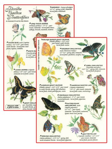 Butterfly Gardening with Florida's Native Plants N/A 9781885258014 Front Cover