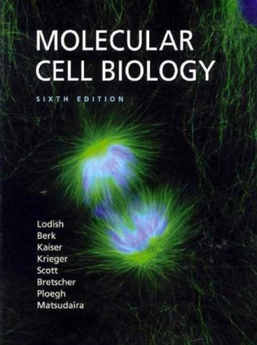 Molecular Cell Biology  6th 2008 9780716776017 Front Cover