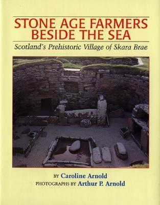 Stone Age Farmers Beside the Sea Scotland's Prehistoric Village of Skara Brae  1997 (Teachers Edition, Instructors Manual, etc.) 9780395776018 Front Cover