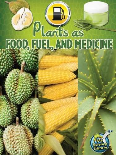 Plants As Food, Fuel, and Medicine:   2012 9781618101020 Front Cover