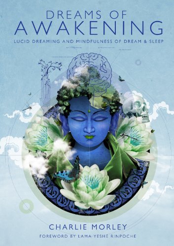 Dreams of Awakening Lucid Dreaming and Mindfulness of Dream and Sleep  2013 9781781802021 Front Cover