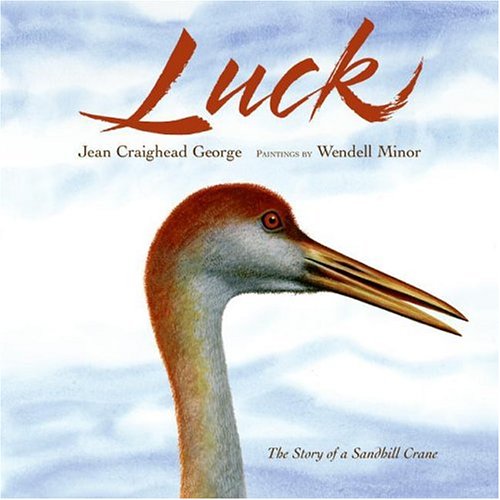 Luck The Story of a Sandhill Crane  2006 9780060082024 Front Cover