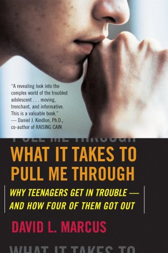 What It Takes to Pull Me Through Why Teenagers Get in Trouble and How Four of Them Got Out  2005 9780618772025 Front Cover