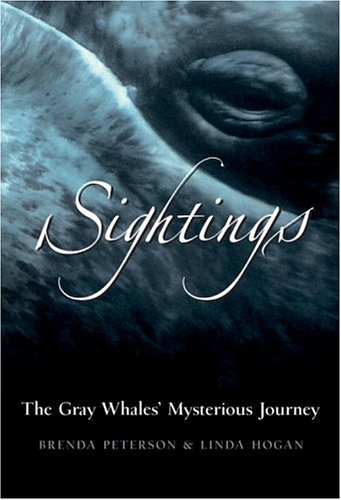 Sightings The Gray Whales' Mysterious Journey  2003 9780792241027 Front Cover