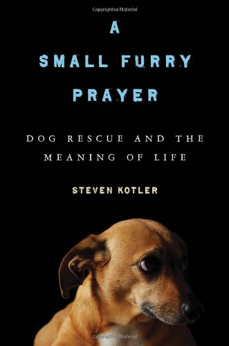 Small Furry Prayer Dog Rescue and the Meaning of Life  2010 9781608190027 Front Cover