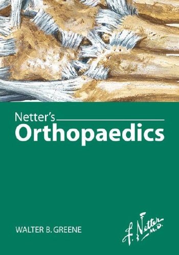 Netter's Orthopaedics   2006 9781929007028 Front Cover