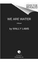 We Are Water A Novel  2014 9780061941030 Front Cover