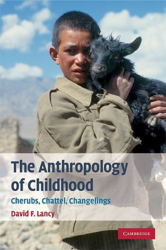 Anthropology of Childhood Cherubs, Chattel, Changelings  2008 9780521716031 Front Cover