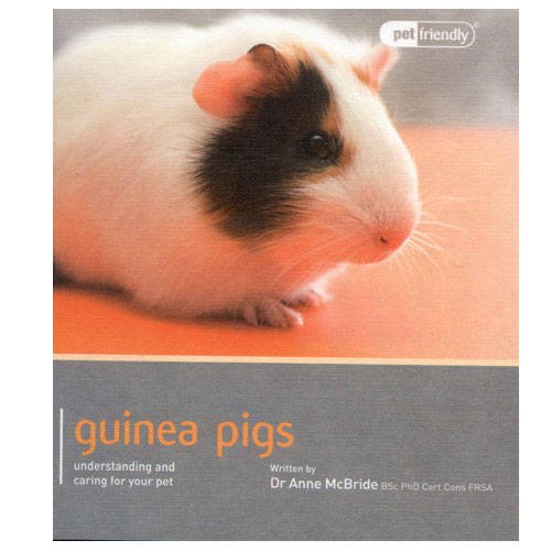 Guinea Pig   2014 9781907337031 Front Cover