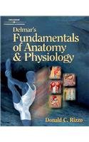 Delmar's Fundamentals of Anatomy and Physiology (Book Only)   2001 9781111320034 Front Cover