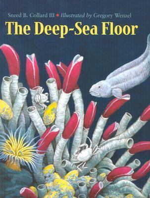 Deep-Sea Floor   2003 9781570914034 Front Cover