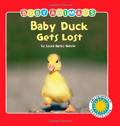 Baby Duck Gets Lost   2011 9781607273035 Front Cover