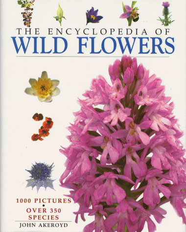 Encyclopedia of Wild Flowers  1999 9781840845037 Front Cover