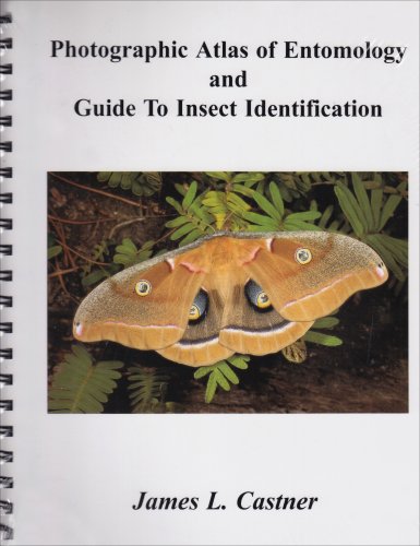 Photographic Atlas of Entomology and Guide to Insect Identification 1st 2000 9780962515040 Front Cover