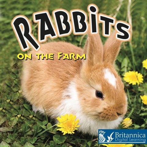 On the Farm Rabbits on the Farm N/A 9781615359042 Front Cover