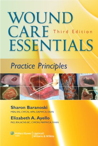Wound Care Essentials Practice Principles 3rd 2012 (Revised) 9781451113044 Front Cover