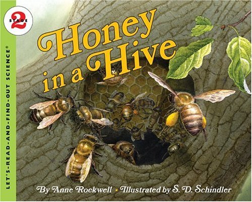 Honey in a Hive   2005 9780064452045 Front Cover