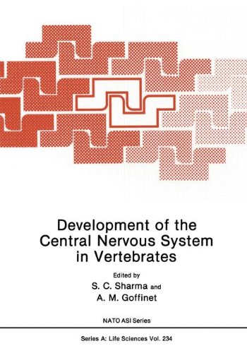 Development of the Central Nervous System in Vertebrates   1992 9780306443046 Front Cover