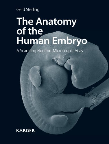 Anatomy of the Human Embryo A Scanning Electron-Microscopic Atlas  2011 9783805597050 Front Cover
