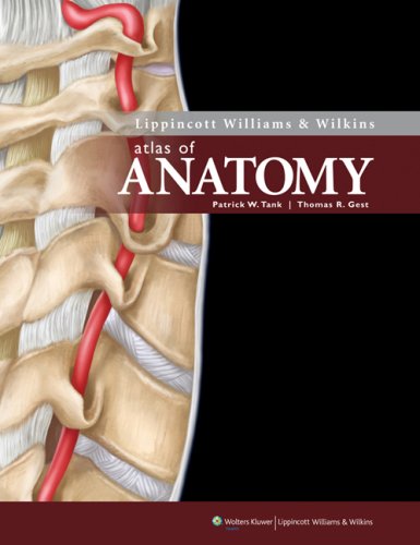 Lippincott Williams and Wilkins Atlas of Anatomy   2009 9780781785051 Front Cover