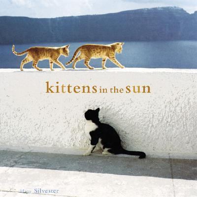 Kittens in the Sun   2003 9780811839051 Front Cover