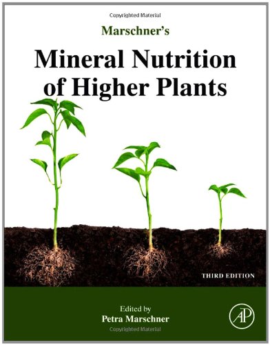 Marschner's Mineral Nutrition of Higher Plants  3rd 2012 9780123849052 Front Cover