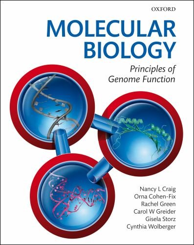 Molecular Biology Principles of Genome Function  2010 9780199562053 Front Cover