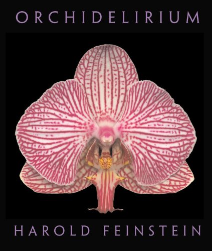 Orchidelirium   2006 9780821262054 Front Cover