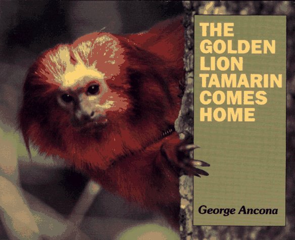 Golden Lion Tamarin Comes Home N/A 9780027009057 Front Cover