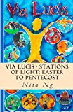 Via Lucis - Stations of Light: Easter to Pentecost  Large Type  9781480262058 Front Cover