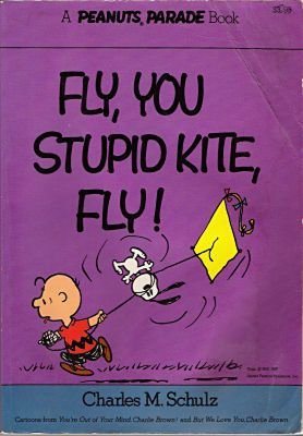 Fly, You Stupid Kite, Fly!  N/A 9780030181061 Front Cover
