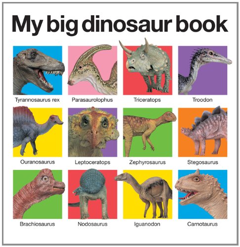 My Big Dinosaur Book   2011 9780312513061 Front Cover