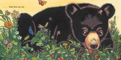 Baby Bear Sees Blue   2012 9781442413061 Front Cover