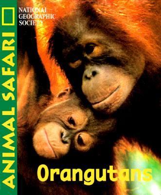 Animal Safari - Orangatans   1999 9780792271062 Front Cover
