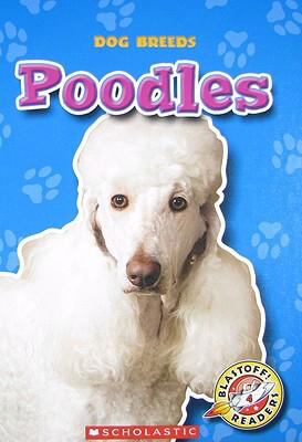 Poodles:  2008 9780531216064 Front Cover