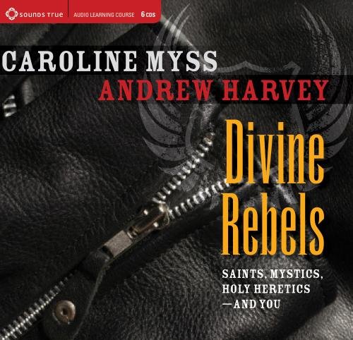 Divine Rebels: Saints, Mystics, Holy Change Agents-and You  2012 9781591798064 Front Cover