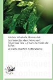 Insectes du Chï¿½ne Vert Dans la forï¿½t de Tafat  N/A 9783841620064 Front Cover