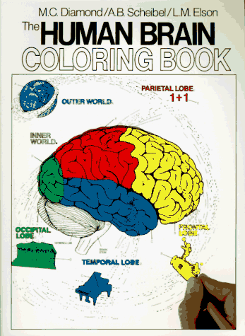 Human Brain Coloring Book A Coloring Book  1985 9780064603065 Front Cover