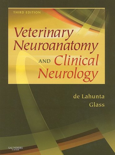 Veterinary Neuroanatomy and Clinical Neurology  3rd 2009 9780721667065 Front Cover